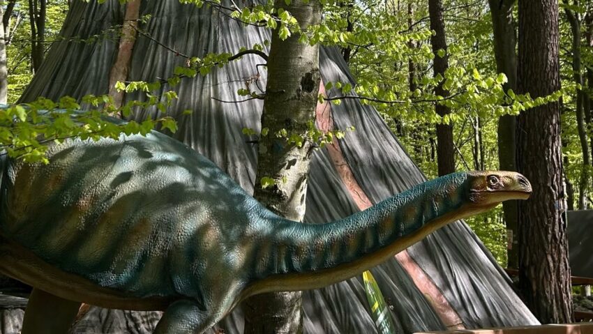 Dino Parc Râșnov aniversează 11 ani de activitate cu un record de 4,5 milioane de vizitatori