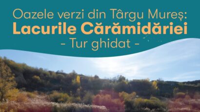 Tur ghidat la Lacurile Cărămidăriei din Târgu Mureș
