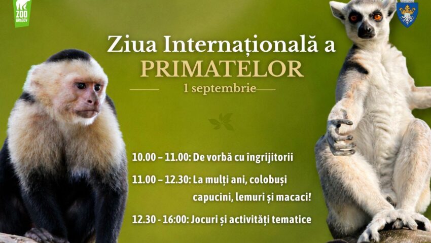Ziua Primatelor la Zoo Braşov
