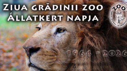 Zoo Târgu Mureș aniversează 62 de ani de activitate cu intrare gratuită și evenimente speciale