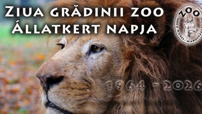 Zoo Târgu Mureș aniversează 62 de ani de activitate cu intrare gratuită și evenimente speciale