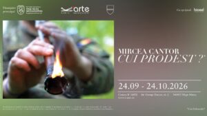 Mircea Cantor expune la Camera K’ARTE