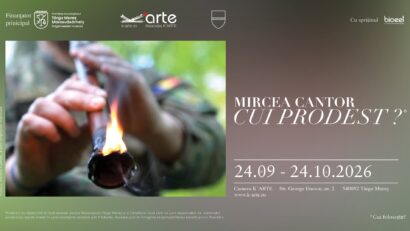 Mircea Cantor expune la Camera K’ARTE