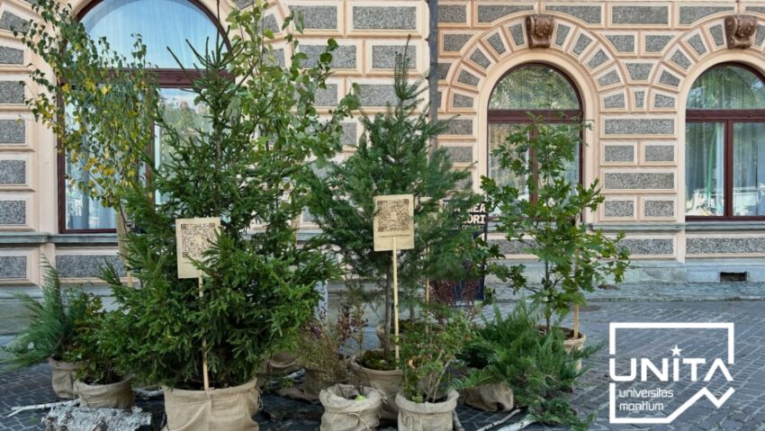 Braşov: Campanie a UniTBv de prezentare a proiectelor seed grants dezvoltate pentru comunitate în ultimii doi ani