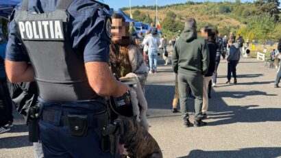 Dosare penale pentru intervenții asupra câinilor, la Râșnov