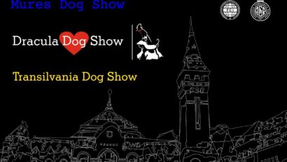 Sute de câini de rasă vor fi prezenți la Festivalul internațional Dracula Dog Show de la Târgu Mureș