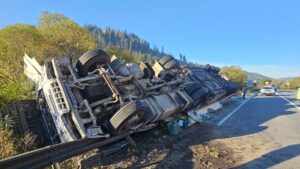 Autocamion răsturnat pe DN 15, la Stânceni