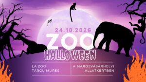 Magie de Hallooween și concurs foto la Zoo Târgu Mureș