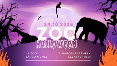 Magie de Hallooween și concurs foto la Zoo Târgu Mureș
