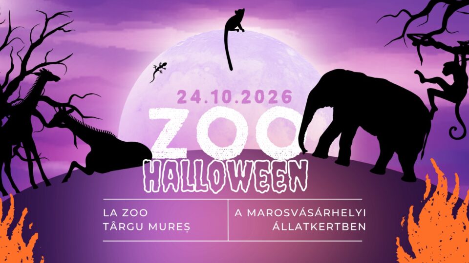 Magie de Hallooween și concurs foto la Zoo Târgu Mureș