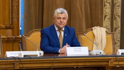 Grupul parlamentar PACE – Întâi România ar putea susţine un cabinet Luca Niculescu