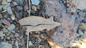 Descoperire arheologică la „Dâmbul Cetății” – Păuleni-Ciuc