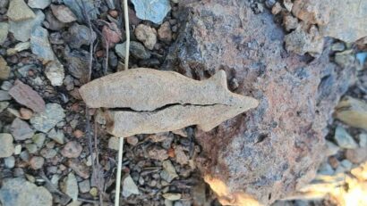 Descoperire arheologică la „Dâmbul Cetății” – Păuleni-Ciuc