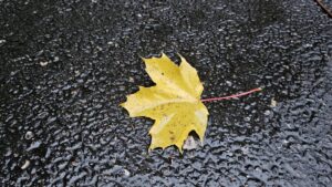 Se anunță ploi şi vânt în întreaga ţară, până miercuri la prânz